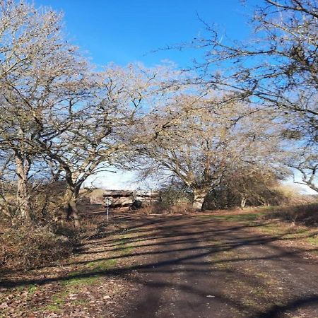 Exklusive Naturoase Direkt Am Ars Natura Wanderweg Mit Panoramablick Auf Мельзунген Экстерьер фото